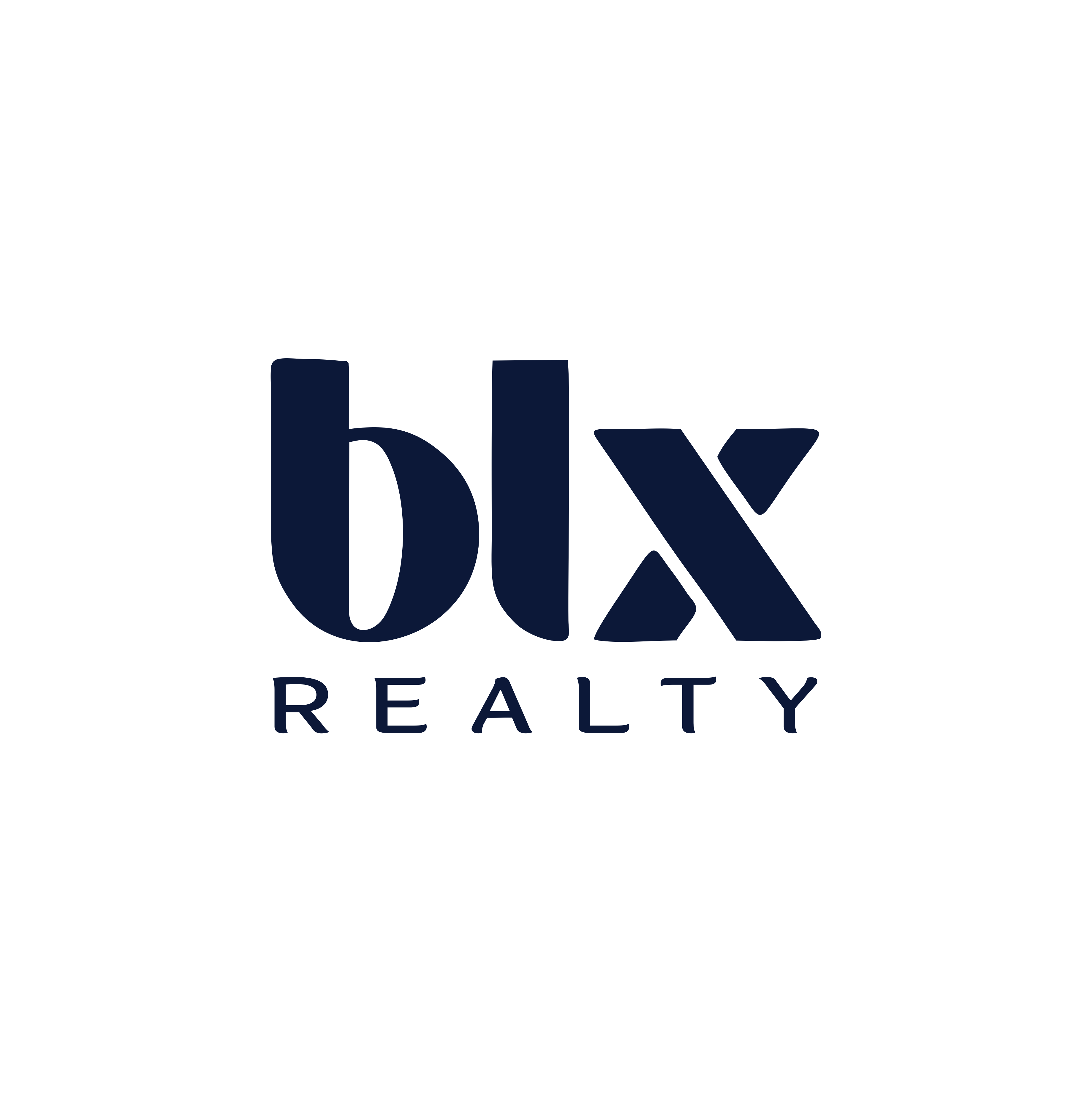 The BLX RealtyLogo